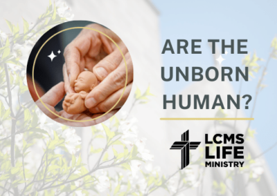 Are The Unborn Human?