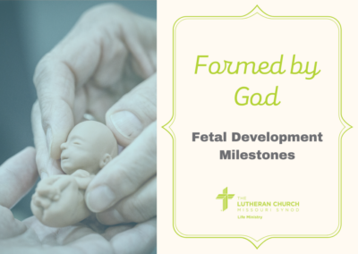 Formed by God-Fetal Development Milestones