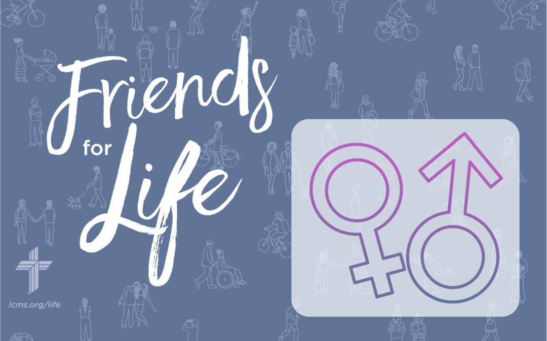 Friends For Life: S2EP1 — Is Sexuality Really That Big of a Deal?