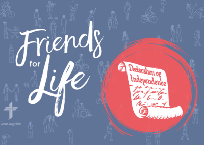 Friends For Life — LCMS Life, Health and Family Ministries: S6Ep5. Protecting the Christian Conscience in the Civic Realm | Rev. Dr. Christopher Thoma