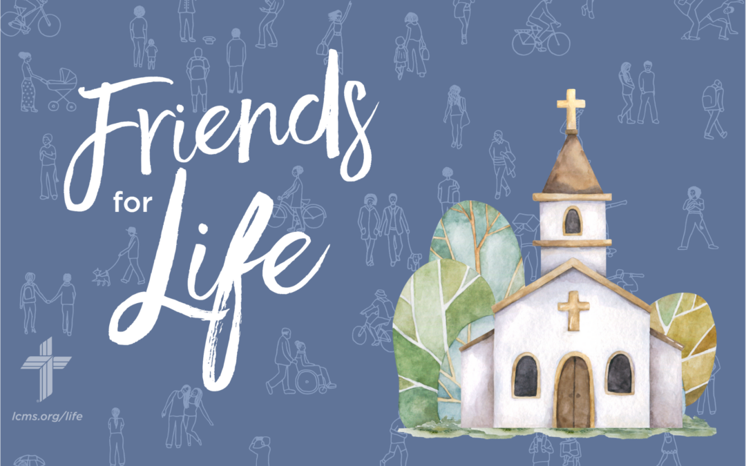 Friends For Life — LCMS Life, Health and Family Ministries: S7Ep2. The Church’s Care for Victims of Human Trafficking | Rev. Scott Heitshusen